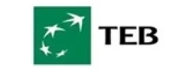 TEB